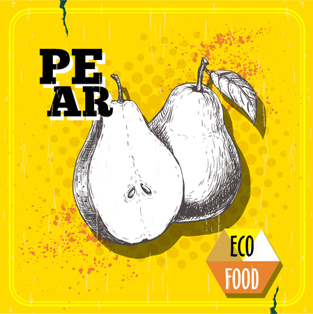 Hand sketch pear in vintage style, an Eco food illustration on yellow half tone layout.のイラスト素材