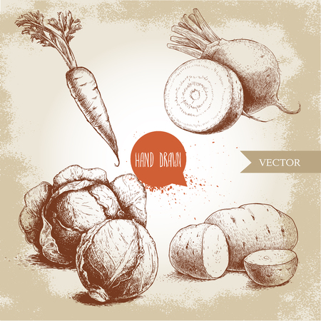 Hand drawn sketch style vegetables set. Half of cabbages, beet roots, potatoes and carrot with leafs. Farm fresh food on grunge vintage background.のイラスト素材