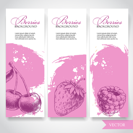 Organic food berries banners. Hand drawn berries. Cherry, strawberry and raspberry on rough pink watercolor paint background with white splashes. Vector berries illustration.のイラスト素材