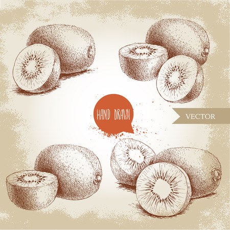 Hand drawn kiwi fruit vector illustration set. Sketch style vector design isolated on grunge background. Tropic fruit.のイラスト素材