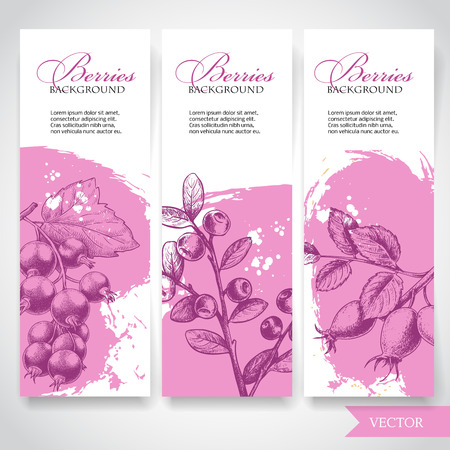Farm fresh berries banners. Hand drawn branches  with berries. Blueberry, black currant and rose hip on rough pink watercolor paint background with white splashes.のイラスト素材