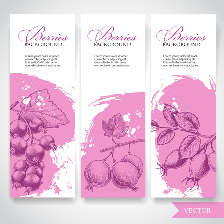Farm fresh berries banners. Hand drawn branches with berries. Black currant, gooseberries and rose hip on rough pink watercolor paint background with white splashes.のイラスト素材