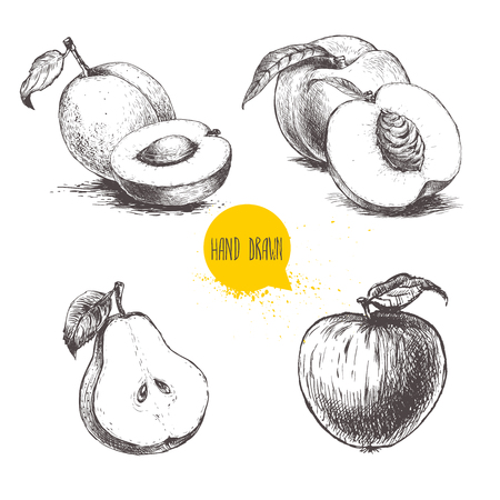 Hand drawn sketch style fruits set. Apricots, peaches , half pear, apple. Bio food vector illustration collection isoalted on white background.のイラスト素材