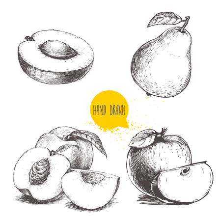 Hand drawn sketch style fruits set. Apricot half with stone, peaches , whole pear, apples. Bio food vector illustration collection on white background.のイラスト素材