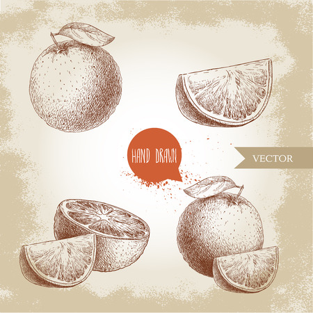 Hand drawn sketch style orange fruit compositions set, Whole fruit and slices, Hand made vector fruit illustration isolated on old looking background.のイラスト素材
