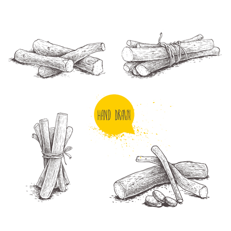Hand drawn sketch style liquorice roots bunches set. Herbal and aromatic vector illustrations and drawings collection. Isolated on white background.のイラスト素材