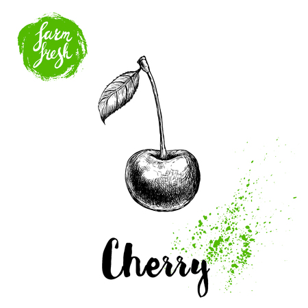 Hand drawn sketch style cherry poster. Single farm fresh berry with leaf. Eco food fruits vector illustration.のイラスト素材