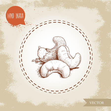 Cashew nuts sketch hand drawn. Roasted nuts composition isolated on old background. Healthy eco food vector illustration.のイラスト素材