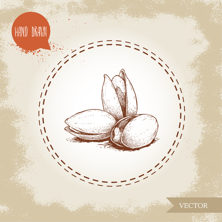 Pistachios bunch hand drawn sketch style illustration. Open fried and fresh nuts. Vector illustration isolated on retro background.のイラスト素材