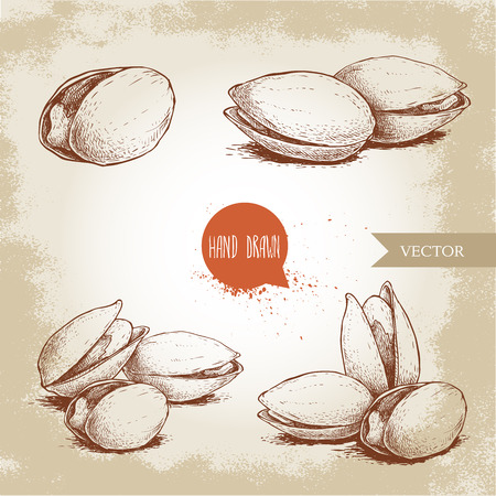 Hand drawn pistachios set. Open and fried fresh organic food. Nuts illustrations isolated on vintage background.のイラスト素材