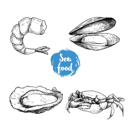 Seafood sketches set. Cooked grilled shrimp, opened mussel and oyster, crab. Sea market products collection. Vector illustration isolated on white background.のイラスト素材