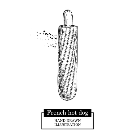 French hot dog. Grilled sausage and bun. Fast food. Hand drawn sketch style street food vector illustration. Isolated on white background.のイラスト素材