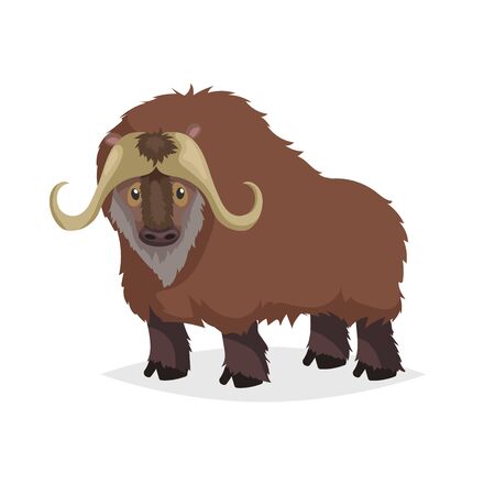 Cute cartoon muskox. Wild animal. Vector illustration for child books. Big furry cattle animal. Isolated on white background.のイラスト素材