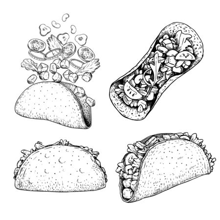 Tacos set. Hand drawn sketch illustrations of traditional mexican food. Top, front and perspective view and tacos constructor with flying ingredients. Vector drawing isolated on white.のイラスト素材