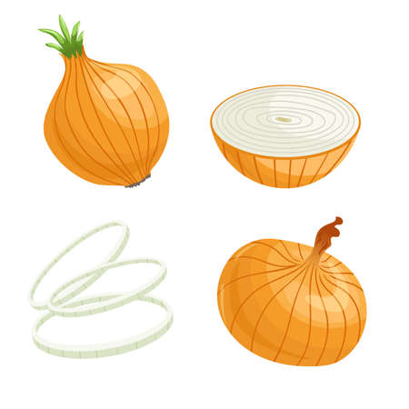 Cartoon brown or yellow onions set. Whole unpeeled, half, onion rings. Fresh farm market vegetables vector iilustrations collection.のイラスト素材