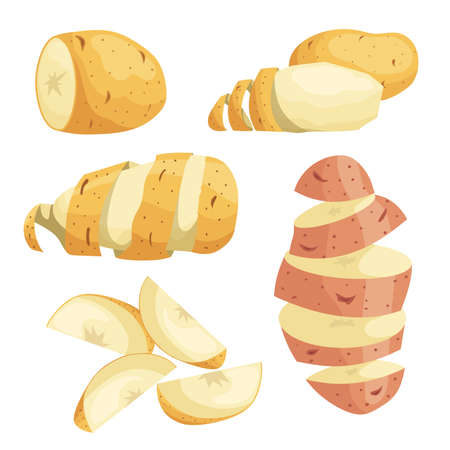Potatoes in flat cartoon style set. Whole, cut, peeled and sliced potatoes, potatoes with peel. Vector illustrations isolated on white background.のイラスト素材