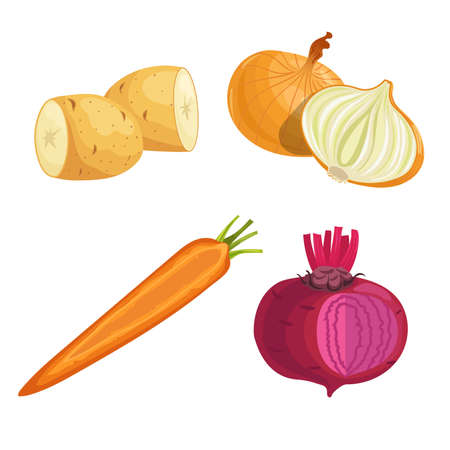 Set of root vegetables. Potato, onion, carrot groups and beet with greens. Cartoon simple design vector illustrations. Fresh farm veggies isolated on white background.のイラスト素材