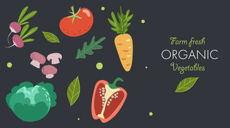Creative banner with fresh vegetables. Trendy flat doodle template. Tomato, mushrooms, cabbage, pepper, carrot, radish and greens. Farm fresh organic veggies on dark background. Vector illustration.のイラスト素材
