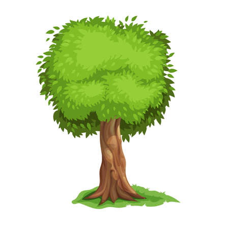 Single tree in cartoon style. old big tree. Botanical and ecological illustration. Best for education and game needs. Vector drawing isolated on white background.のイラスト素材