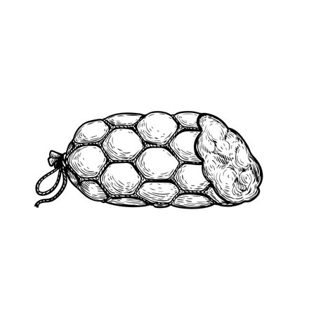 Sausage in vintage style. Hand drawn sketch style butchery product. Best for package and market advertising design. Vector illustrations isolated on white background.のイラスト素材