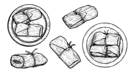 Hand drawn sketch style tamales set. single and group. traditional mexican food. Vector food collection. isolated on white background.のイラスト素材