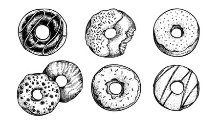 Hand drawn sketch style tasty donuts set. Sweet dessert collection. Best for posters, menu designs and packaging. vector illustrations.のイラスト素材