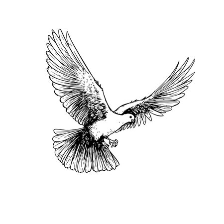 Hand drawn white dove. Flying bird in sketch pen and ink style. Peace and love symbol. Vector illustration.のイラスト素材