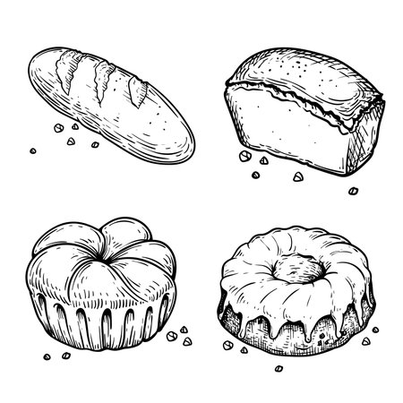 Bread and bakery food. Hand drawn sketch icons. Braided buns, bread, bun and loaf. Retro bakery shop assortment. vector illustrations.のイラスト素材