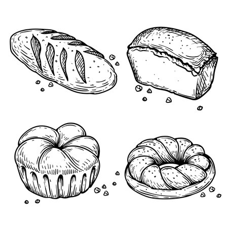 Bread and bakery food. Hand drawn sketch icons. Braided buns, bread, bun and loaf. Retro bakery shop assortment. vector illustrations.のイラスト素材