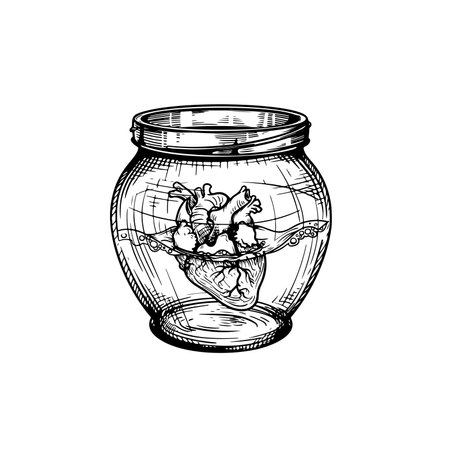 Human heart in glass jar isolated. Hand drawn sketch style drawing. Best for tee print or blackwork tattoo. Vector illustration isolated on white.のイラスト素材