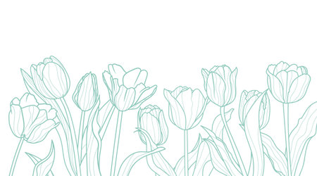 Tulips line art background. Elegance luxury spring design template. Vector floral illustrations isolated on white background.のイラスト素材
