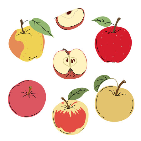 Apples set in flat modern minimalistic style. Farm fresh fruit collection. Sort of whole and cut apples. Vector illustrations isolated on white background.のイラスト素材