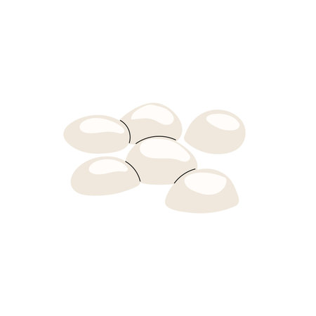 Mozzarella balls Bocconcini in flat modern minimalistic style. Fresh diary traditional Italian product. Vector illustration isolated on white background.のイラスト素材