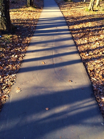 Autumn road の素材