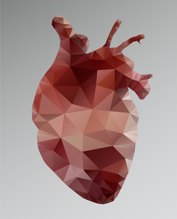 Polygonal red human heart. Abstract vector realistic anatomical organ. Polygonal mesh with the triangle.のイラスト素材