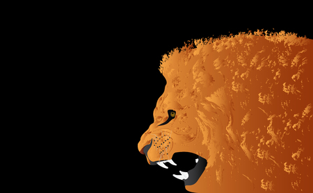 Lion head vector illustration on black backgroundのイラスト素材
