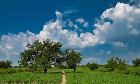 Trail in Gardenの写真素材