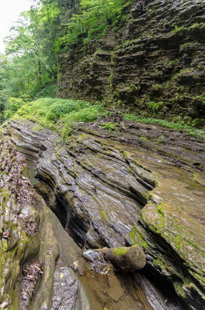 Layered rocks in Watkins Glen Parkの写真素材