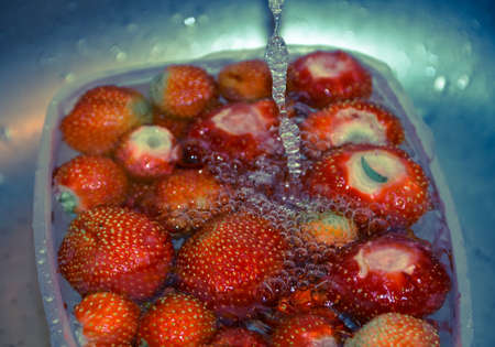 ripe red strawberries washing in waterの写真素材