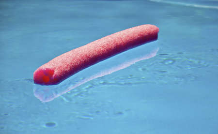 color foam noodle in the poolの写真素材