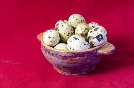 quail eggdの写真素材
