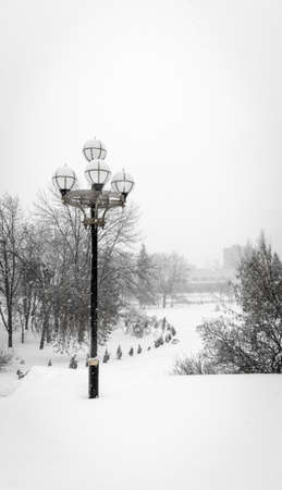 Streetlights under snowの写真素材