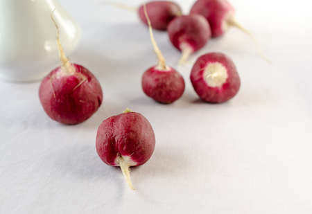 Radishの写真素材