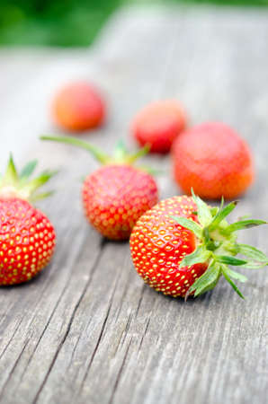 strawberryの写真素材