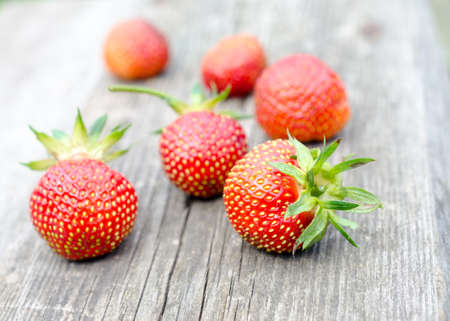 strawberryの写真素材