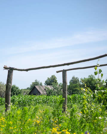 Old farmの写真素材