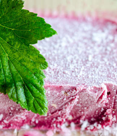 black currant ice creamの写真素材