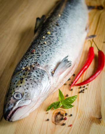 Fresh Atlantic Salmon whole fish on the tableの写真素材