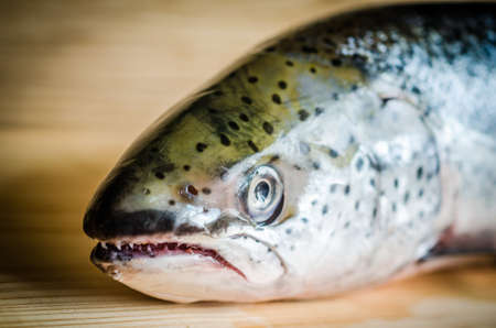 whole salmonの写真素材