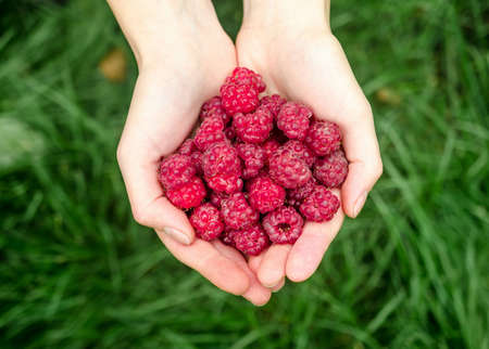 raspberry